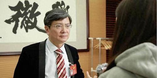 爆料郑强的视频大全最新,揭秘娱乐圈惊人内幕