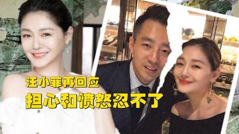 台媒爆料汪小菲视频回放,揭秘背后真相